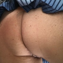 A neighbor's ass - Cattivo
