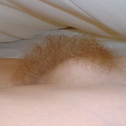 Blonde Bush And Mound - Bush Or Hairy, Close-Ups