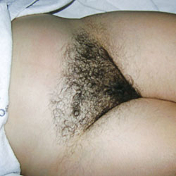 My Hairy Wife - Big Tits, Wife/Wives, Bush Or Hairy, Amateur
