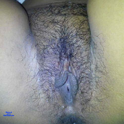 Pussy Closeup - Bush Or Hairy, Close-Ups, Pussy