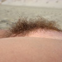Dark Pussy Hair - Dark Hair