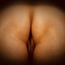 My wife's ass - GeeGee