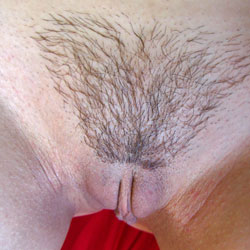 Hair Styles ... What Do You Like? - Bush Or Hairy, Close-Ups, Pussy