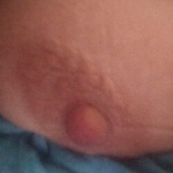 Medium tits of a neighbor - Old playmate 