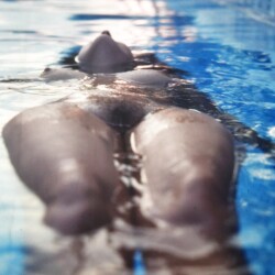 Medium tits of my wife - Sexy Sweet Alice