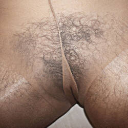Pic #6 My Hairy Wife - Wife/wives, Bush Or Hairy, Amateur