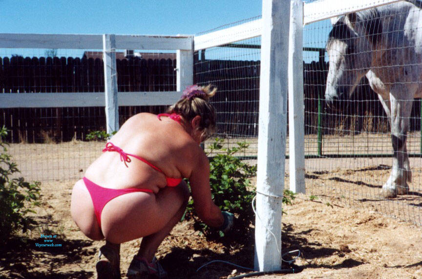 Pic #3Sweetness In The Garden - Nude Girls, Big Tits, Mature, Outdoors, Bush Or Hairy, Amateur