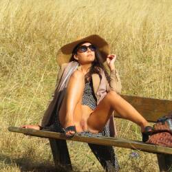 Pic #2 Sur Un Banc - Outdoors, Amateur