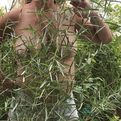 Pic #3 Wyoming Visit 2 - Topless Amateurs, Big Tits, Mature, Outdoors, Amateur