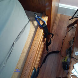 Pic #7 More Yacht Club  - Brunette, Outdoors, Dressed, Amateur, Mature