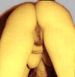 Pic #9 Naughty Slut - Big Tits, Brunette, Amateur