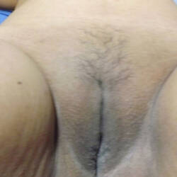 Pic #6 Mi Goajira Querida 4 - Big Tits, Mature, Amateur