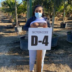 Pic #9 Naughty Work Break! - Big Tits, Brunette, Public Exhibitionist, Flashing, Outdoors, Amateur