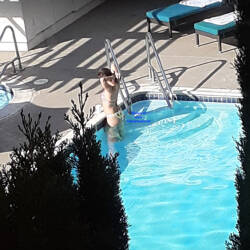Pic #5 Girl At Pool Voy'd From Room - Brunette, Outdoors, Bikini Voyeur