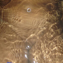 Pic #8 Wet Pics - Nude Amateurs, Big Tits, Mature, Amateur