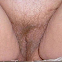 Pic #5 BBW Whore - Bbw, Bush Or Hairy, Pussy, Amateur