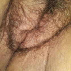 Pic #3 Mature - Wife/wives, Bush Or Hairy, Close-ups, Pussy, Amateur, Mature