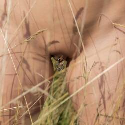 Pic #6 Rings n Things - Big Tits, Outdoors, Amateur, Body Piercings