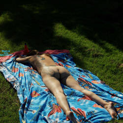 Pic #2 Pussy Picnic - Nude Girls, Outdoors, Amateur, Tattoos