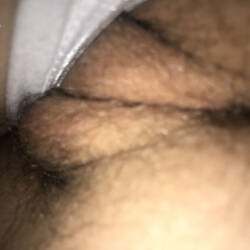 Pic #5 Hairy Pussy And Ass - Close-ups, Pussy, Amateur