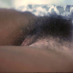 Pic #1 Pamela Various Nudes Next - Nude Girls, Big Tits, Brunette, Bush Or Hairy, Amateur