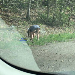 Pic #5 Sexy Ass Upskirt - Mature, Outdoors, Dressed, Amateur, Bent Over