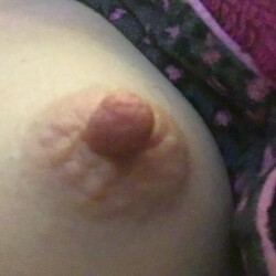 My small tits - Hannah