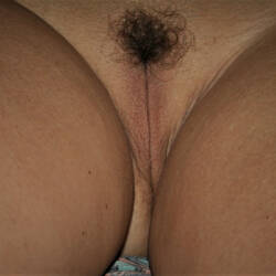 Pic #4 FLASHING THE WIFE PART 3 - Pussy, Trimmed Pussy