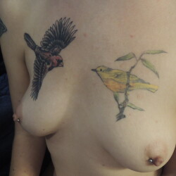 Small tits of a neighbor - The KHV