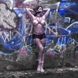 Raven under the Tracks