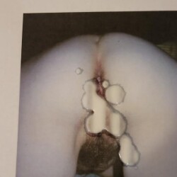 My ass - Sweet Cheeks