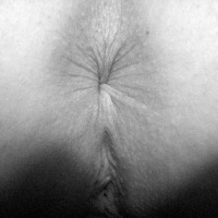 My wife's ass - Mesul