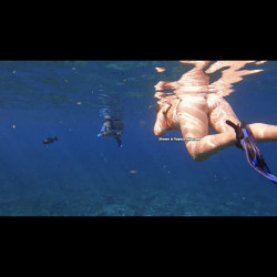 Ass in the water