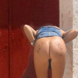 My wife's ass - Lisa Melagio