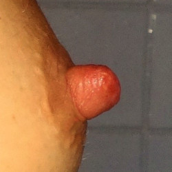 Small tits of my wife - bellafiga