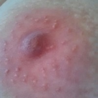 Large tits of my wife - Swallows