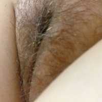 Pussy - Close-Ups, Bush Or Hairy