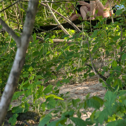 Spotted in the Rhine Beach near Duesseldorf GERMANY