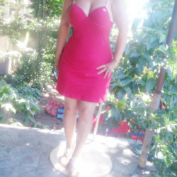Pic #2 La guanaca