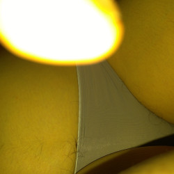Pic #3 Wife naked