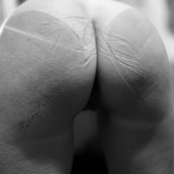 My ass - O'Parker