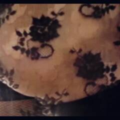 Wraparound Part 1
