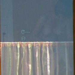 Pic #4 At the window