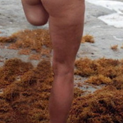 My wife's ass - Karen