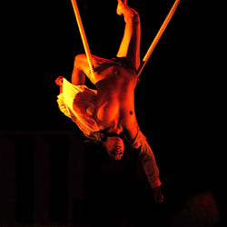 Pic #7 from a show II