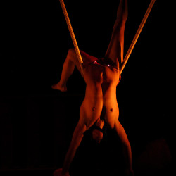 Pic #9 from a show II