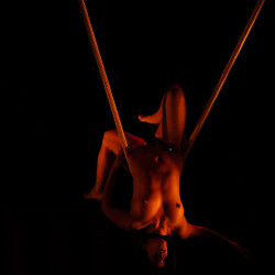 Pic #10 from a show II