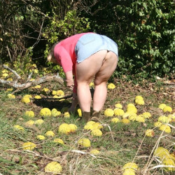 Pic #5 Tow trips outdoors