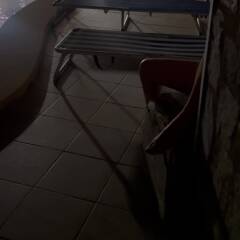 Getting ready for fun