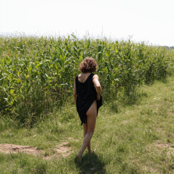 Pic #2 Corn fields